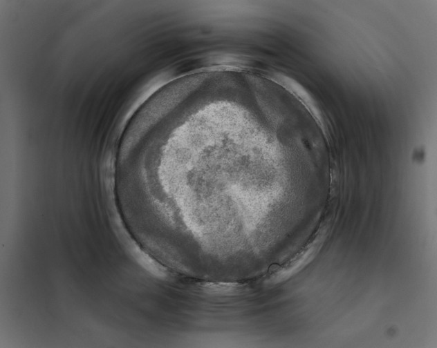X0000101410859200807281024