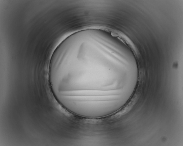 X0000101410860200807281024
