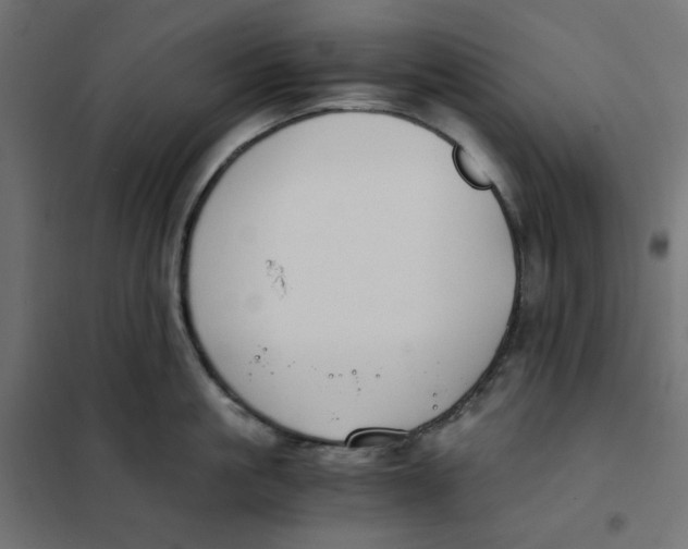 X0000101410861200807281024