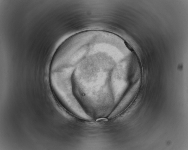 X0000101410862200807281024