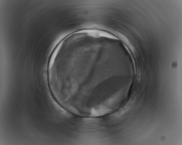 X0000101410863200807281024