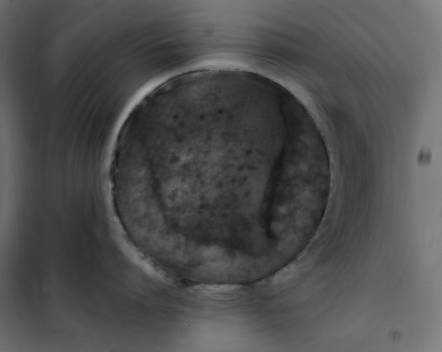 X0000101410864200807281024