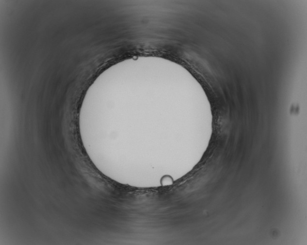 X0000101410865200807281023