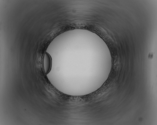 X0000101410866200807281023