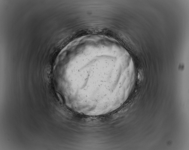X0000101410867200807281023