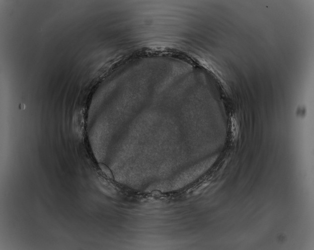 X0000101410868200807281023