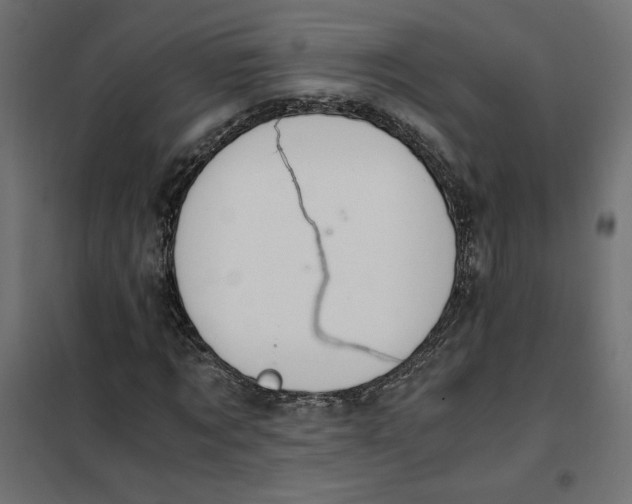 X0000101410869200807281023