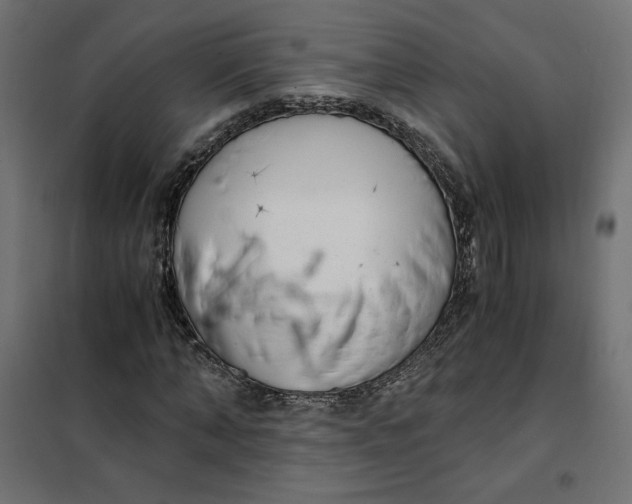 X0000101410870200807281023