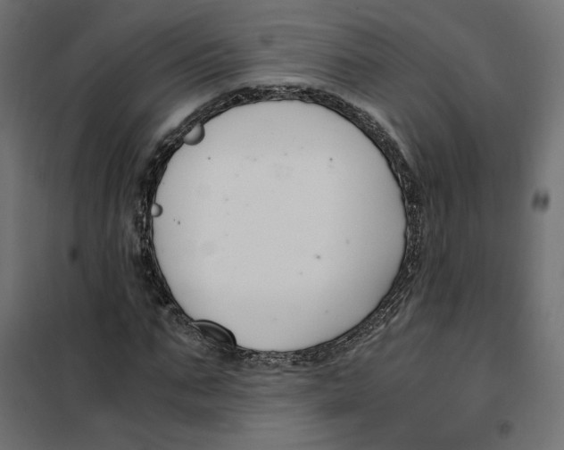 X0000101410871200807281023
