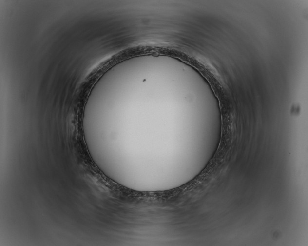 X0000101410872200807281023