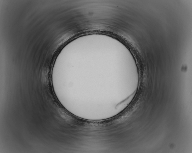 X0000101410873200807281023