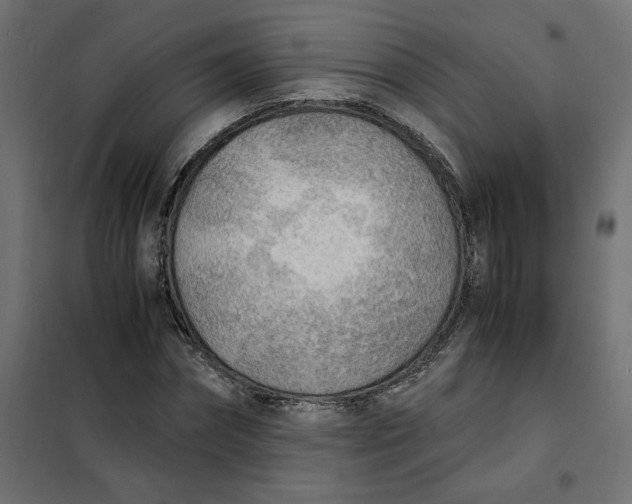 X0000101410874200807281023