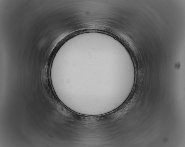 X0000101410875200807281023