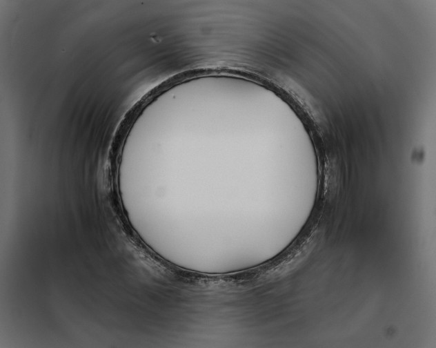 X0000101410876200807281023