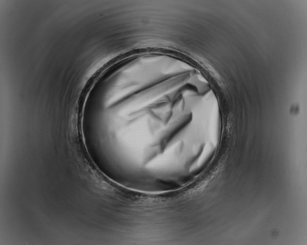 X0000101410877200807281023