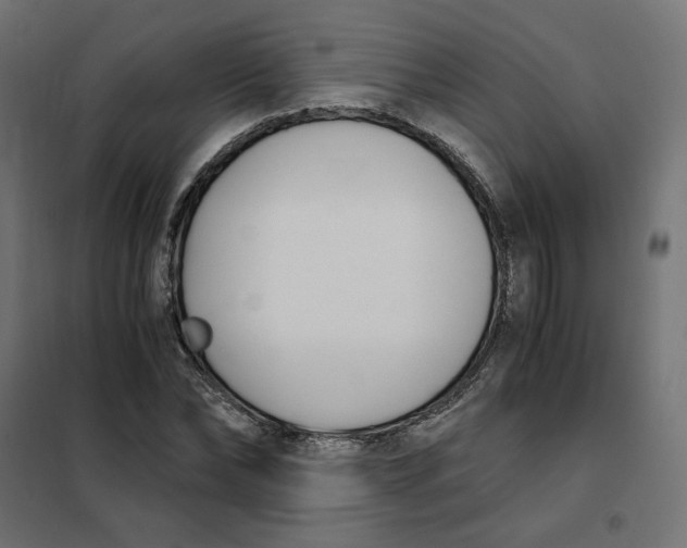 X0000101410878200807281023