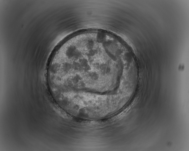 X0000101410879200807281023