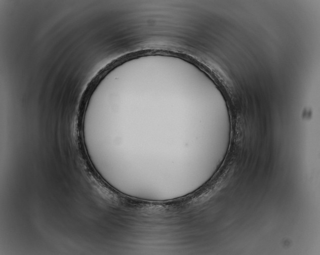 X0000101410880200807281023