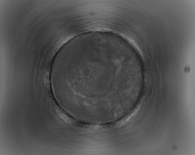 X0000101410881200807281023