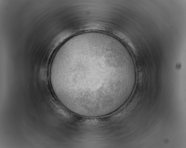 X0000101410882200807281023