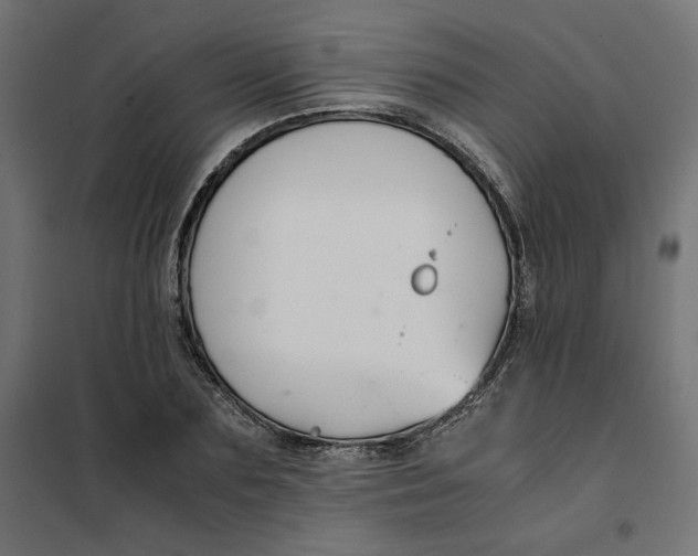 X0000101410883200807281023
