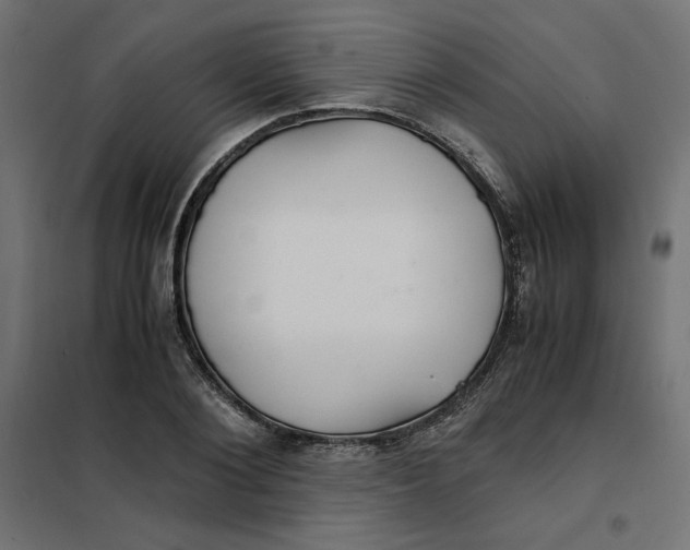 X0000101410884200807281023