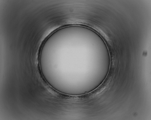 X0000101410885200807281023