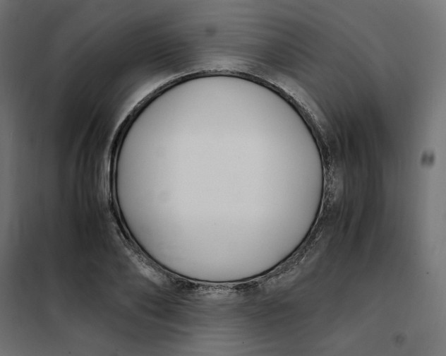 X0000101410886200807281023