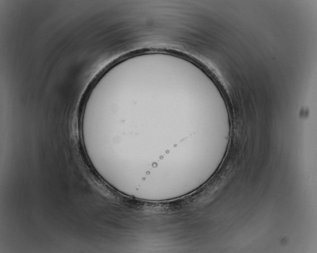 X0000101410887200807281023