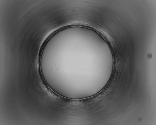 X0000101410888200807281023