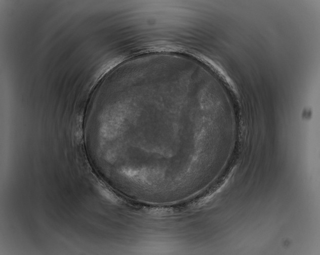 X0000101410889200807281023