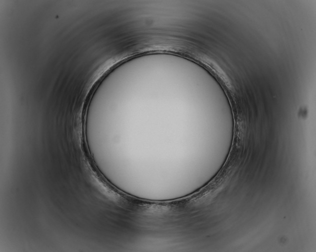 X0000101410890200807281023