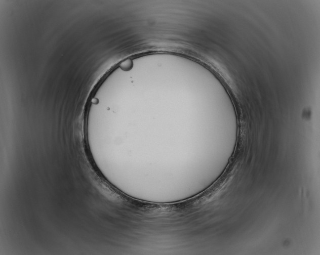 X0000101410891200807281023