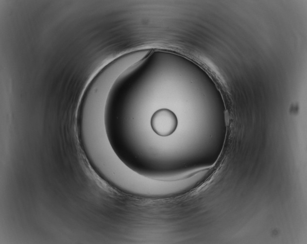 X0000101410892200807281023