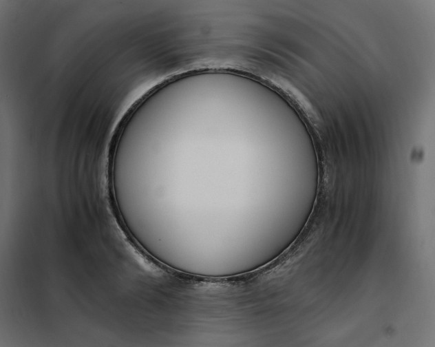 X0000101410894200807281023