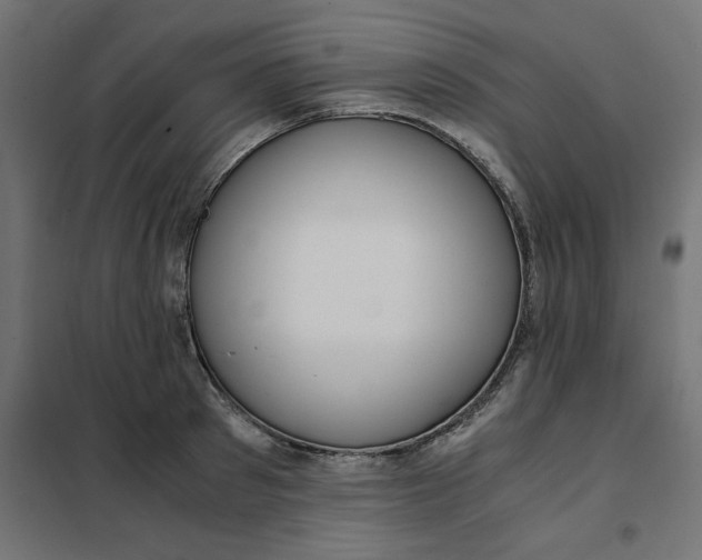 X0000101410897200807281023