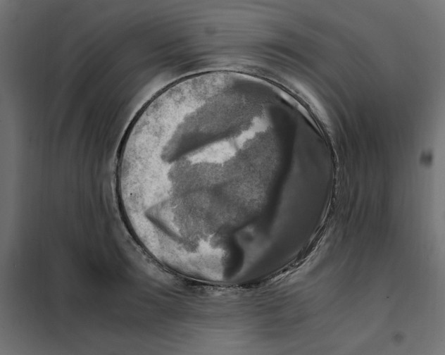 X0000101410899200807281023