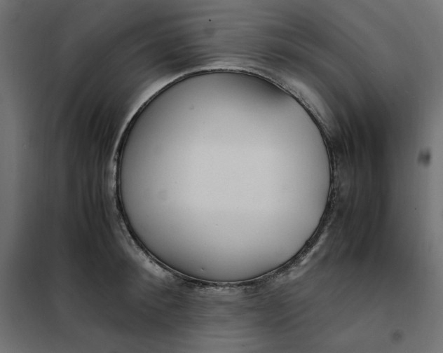 X0000101410900200807281023