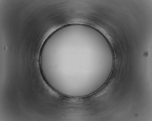 X0000101410901200807281023