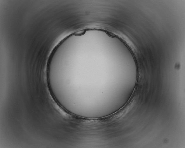 X0000101410902200807281023