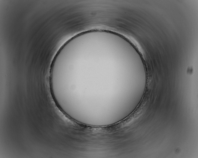 X0000101410903200807281023