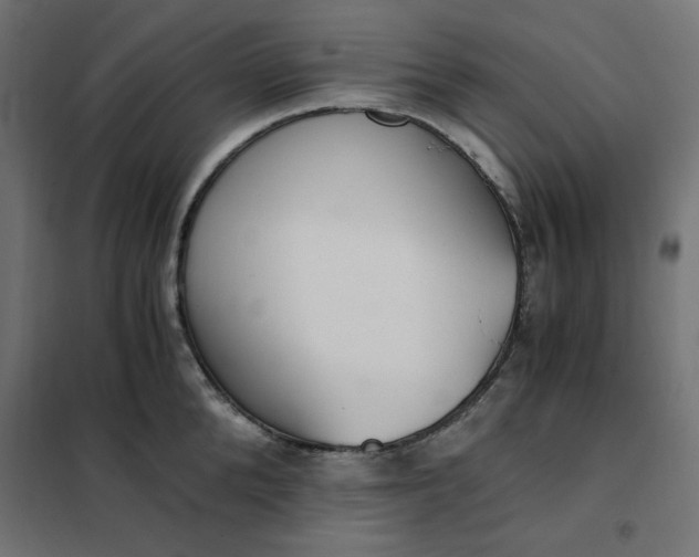 X0000101410904200807281023