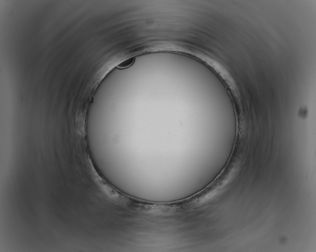 X0000101410905200807281023