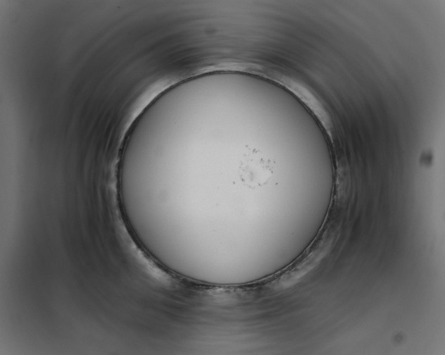 X0000101410906200807281023