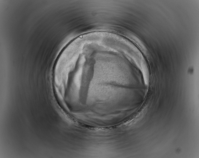X0000101410907200807281023