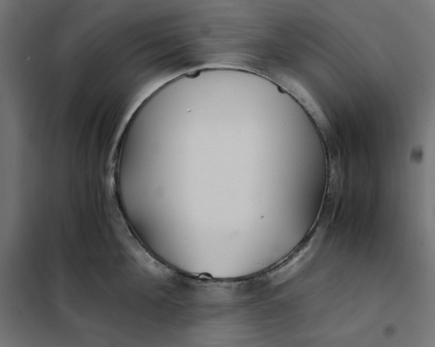 X0000101410908200807281023