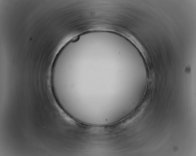 X0000101410909200807281022