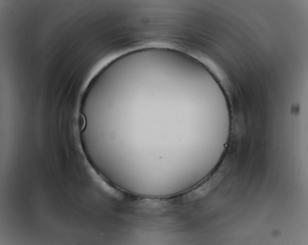 X0000101410910200807281022