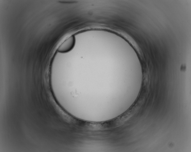 X0000101410911200807281022