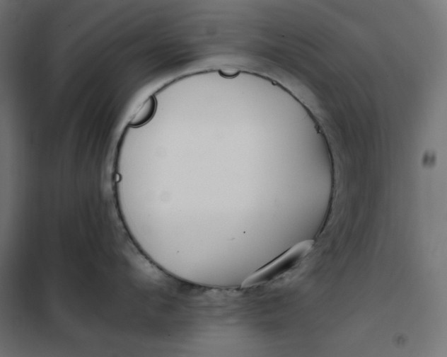 X0000101410912200807281022